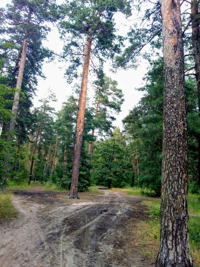 Guest House Kiev Forest ภายนอก รูปภาพ